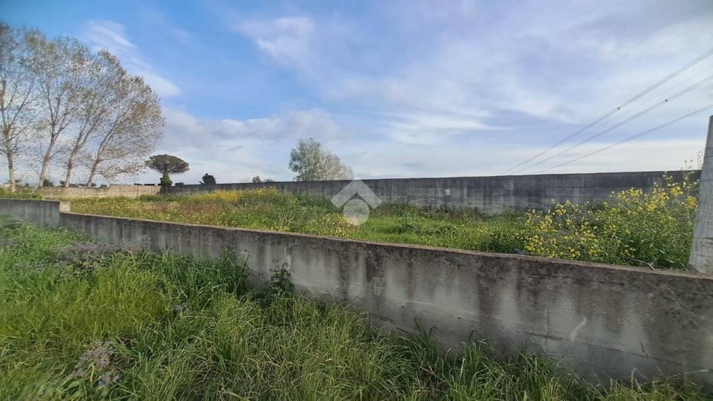 immagine annuncio 10 di 13