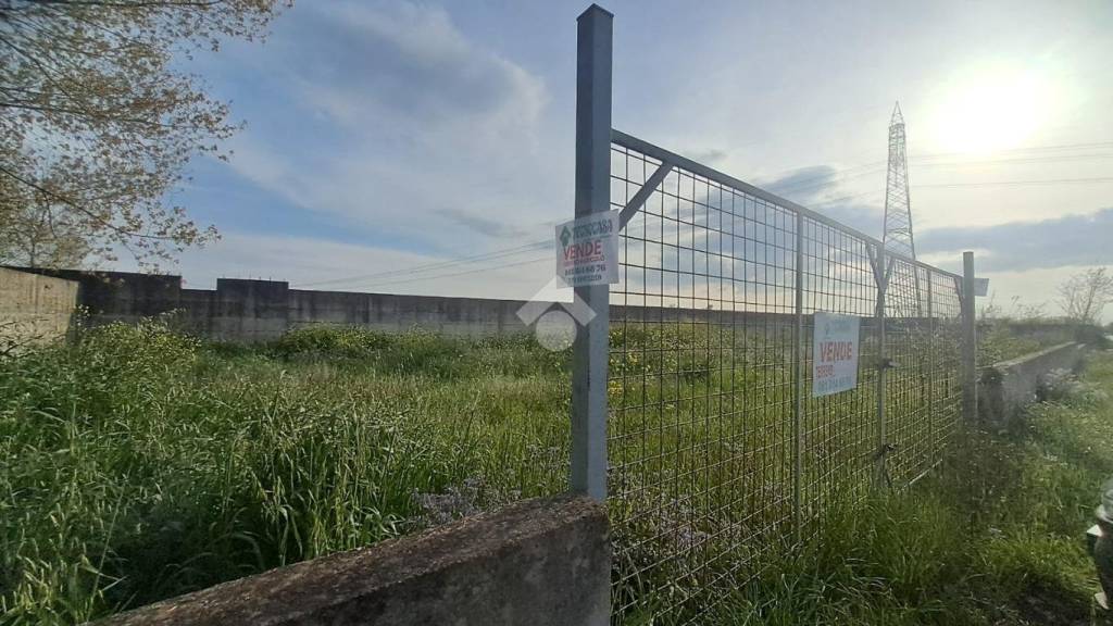 immagine annuncio 11 di 13