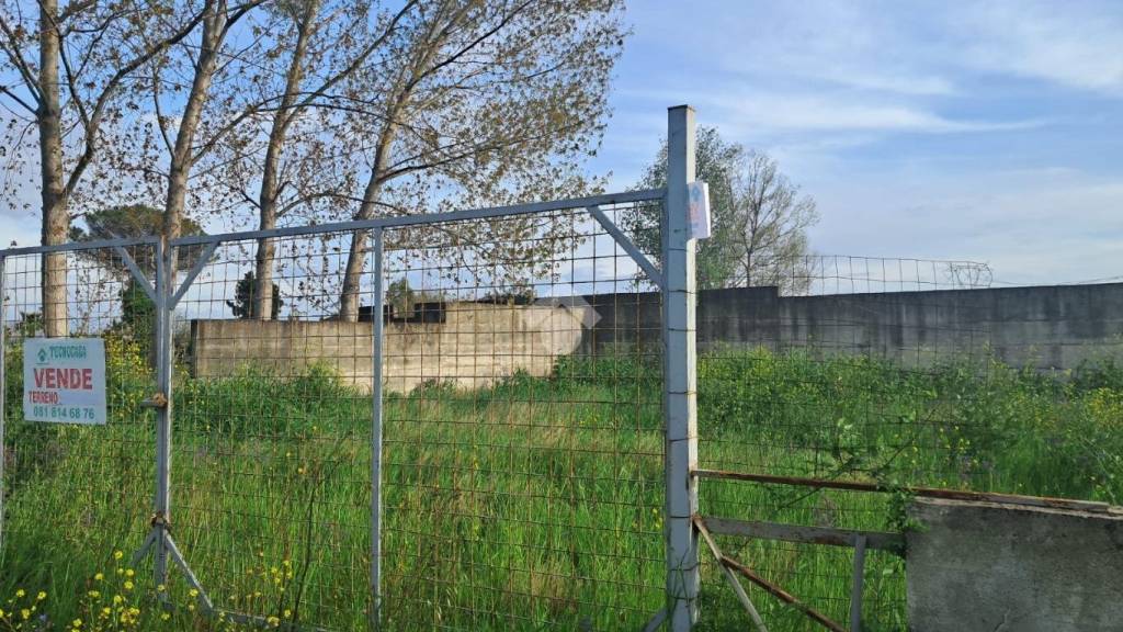 immagine annuncio 12 di 13