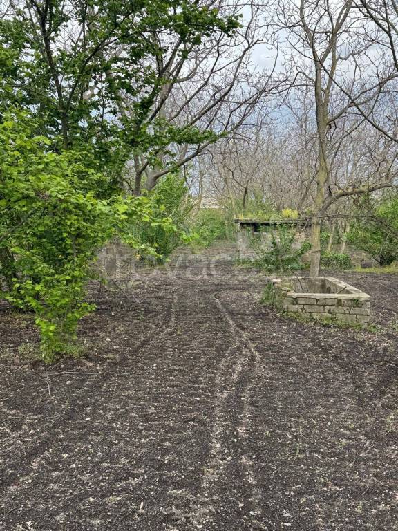 immagine annuncio 2 di 6