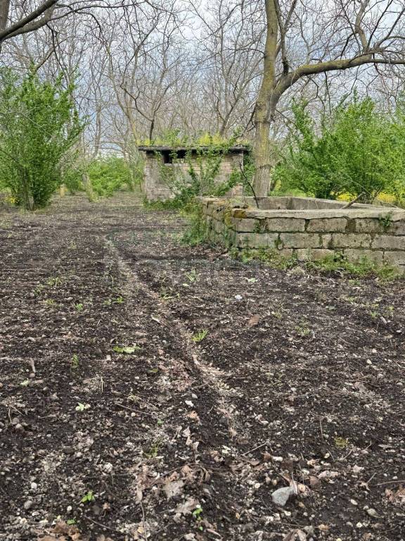 immagine annuncio 4 di 6