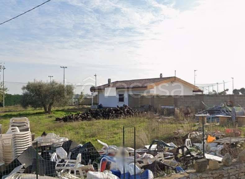 immagine annuncio 1 di 14