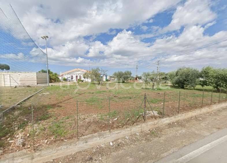 immagine annuncio 5 di 14