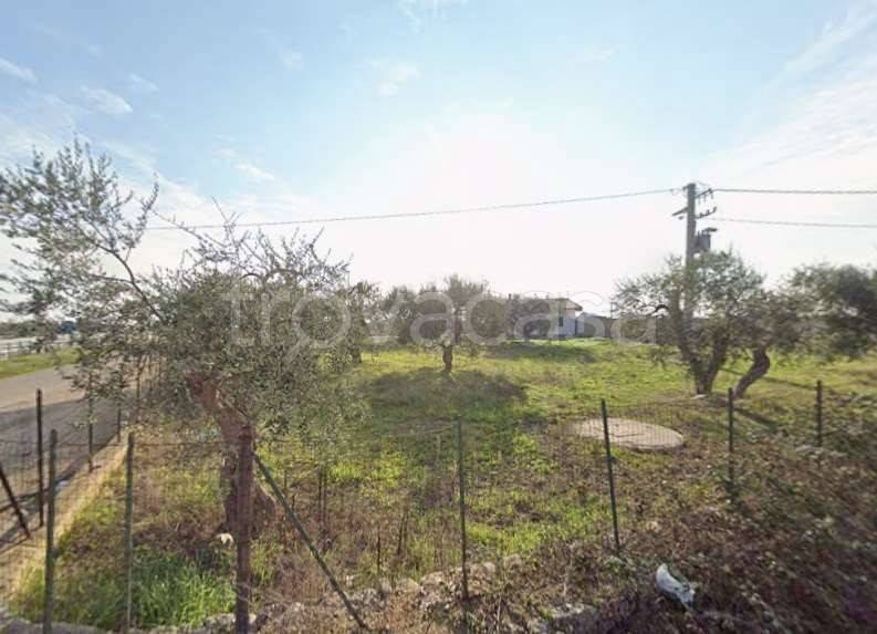 immagine annuncio 6 di 14