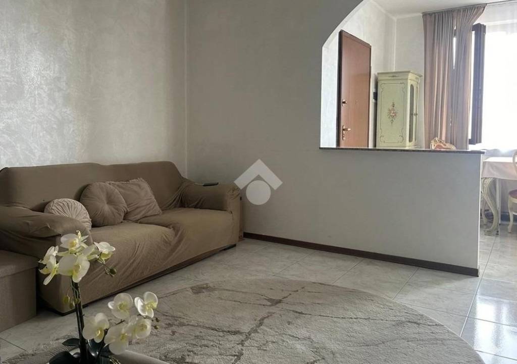 immagine annuncio 4 di 14