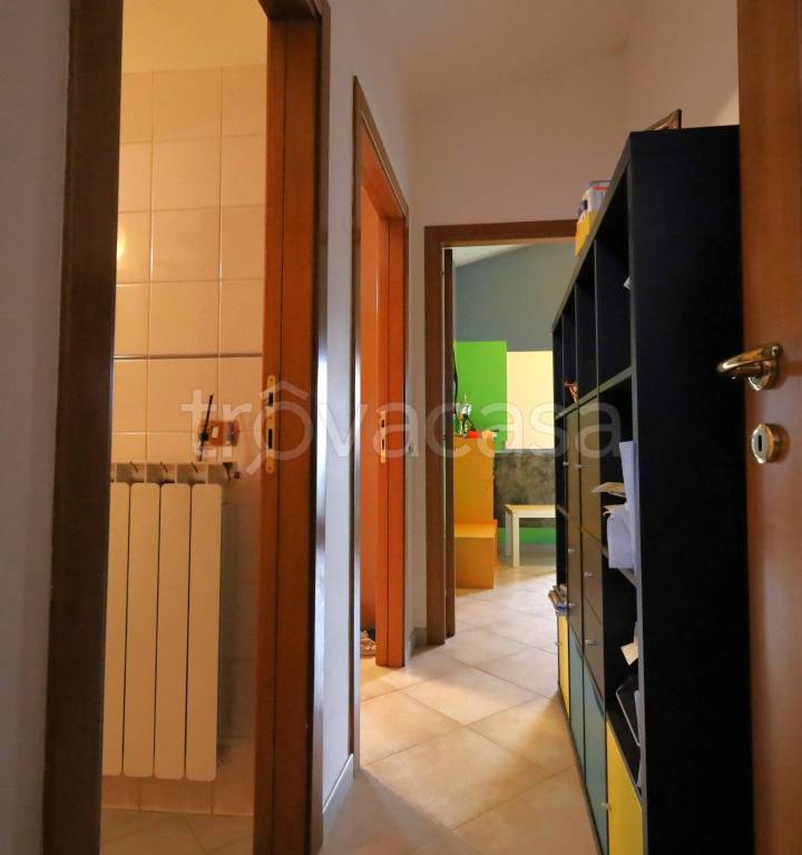 immagine annuncio 5 di 14