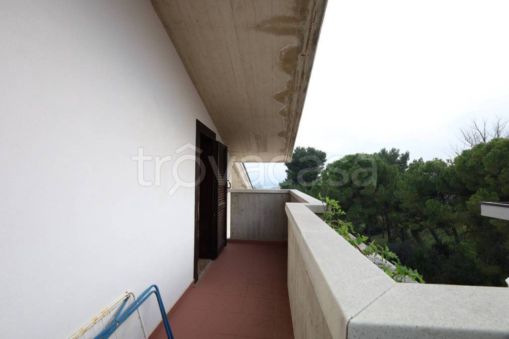 immagine annuncio 10 di 14