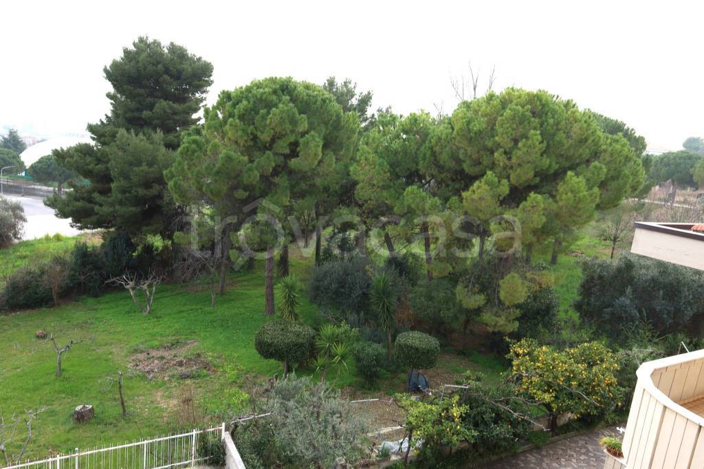 immagine annuncio 12 di 14