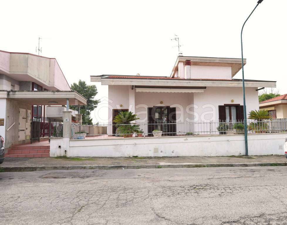 immagine annuncio 13 di 14