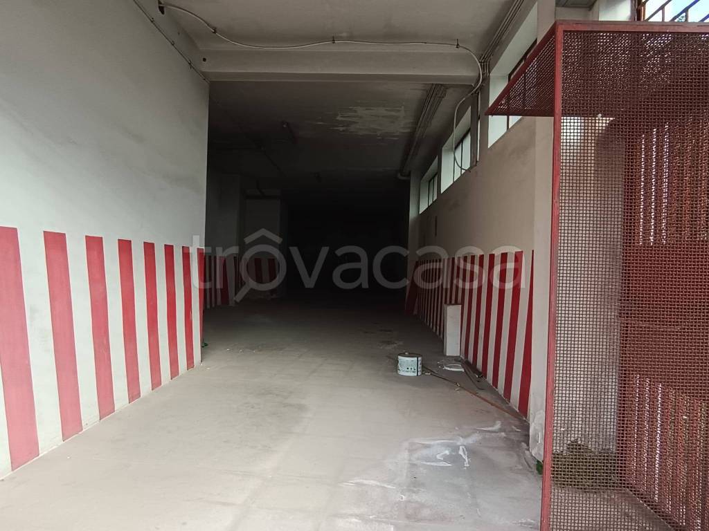 immagine annuncio 5 di 6