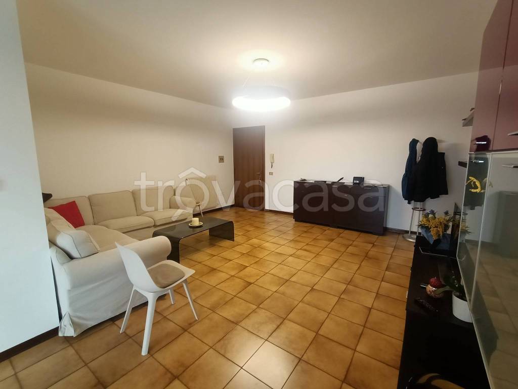 immagine annuncio 6 di 12