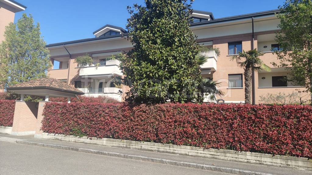 immagine annuncio 3 di 15