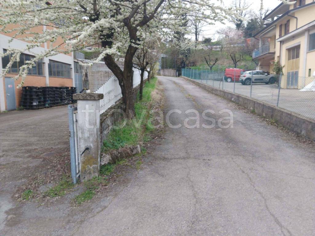 immagine annuncio 2 di 11