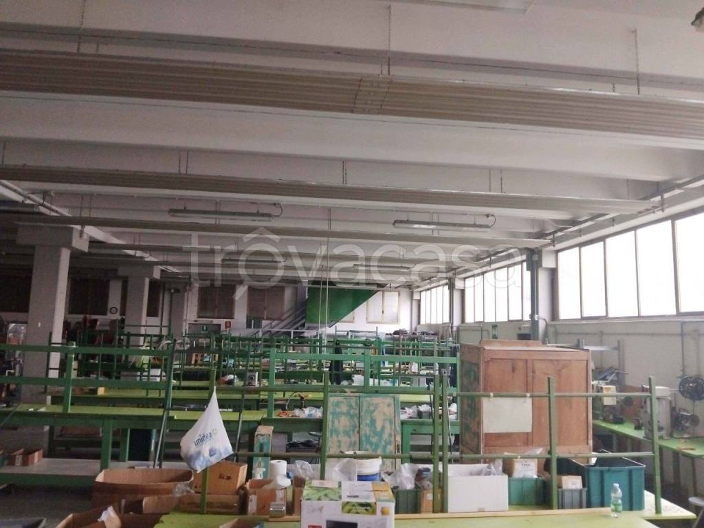 immagine annuncio 3 di 11