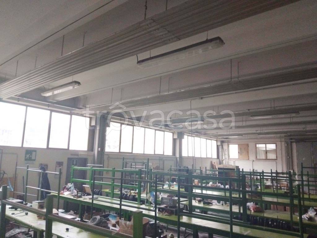 immagine annuncio 4 di 11