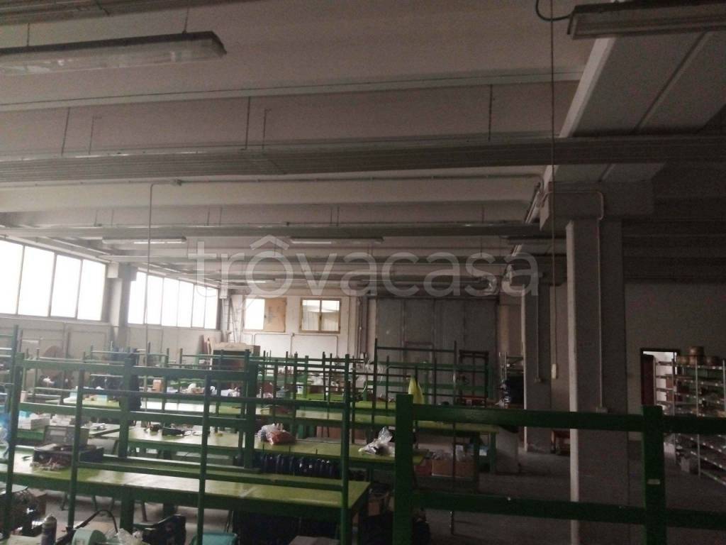 immagine annuncio 5 di 11