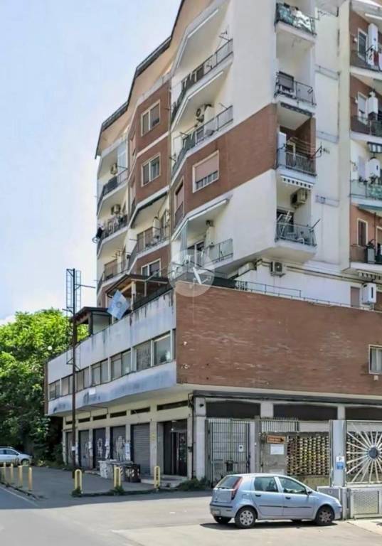 immagine annuncio 11 di 12