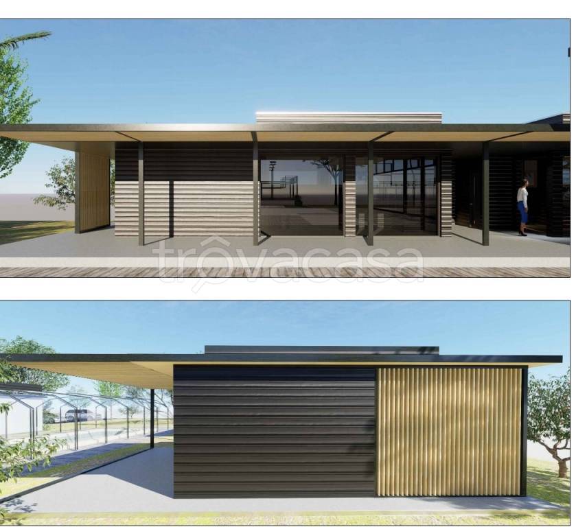 immagine annuncio 5 di 6