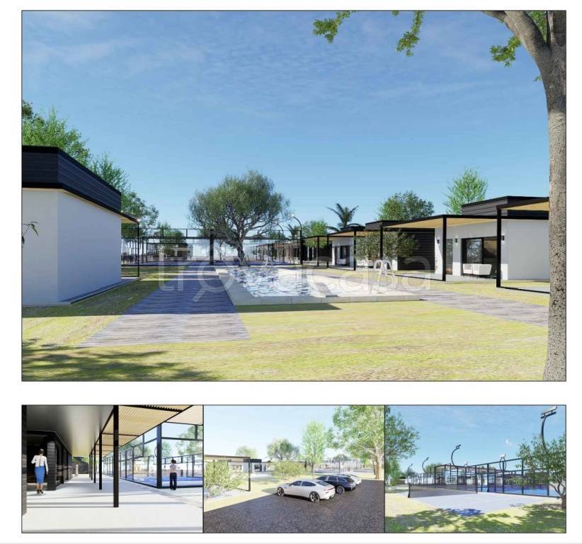 immagine annuncio 2 di 6