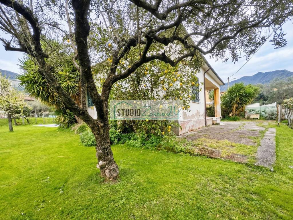 immagine annuncio 3 di 14