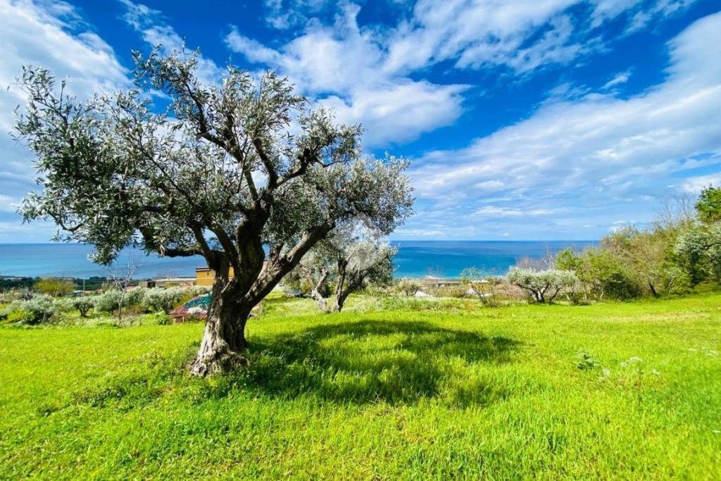 immagine annuncio 1 di 14