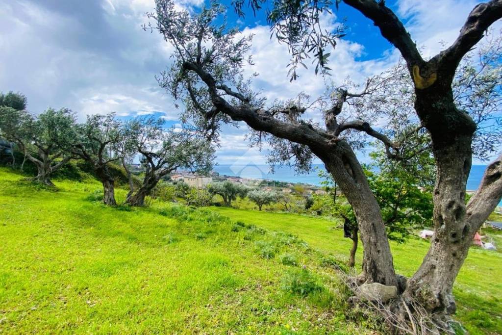 immagine annuncio 2 di 14