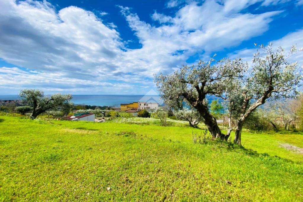 immagine annuncio 3 di 14