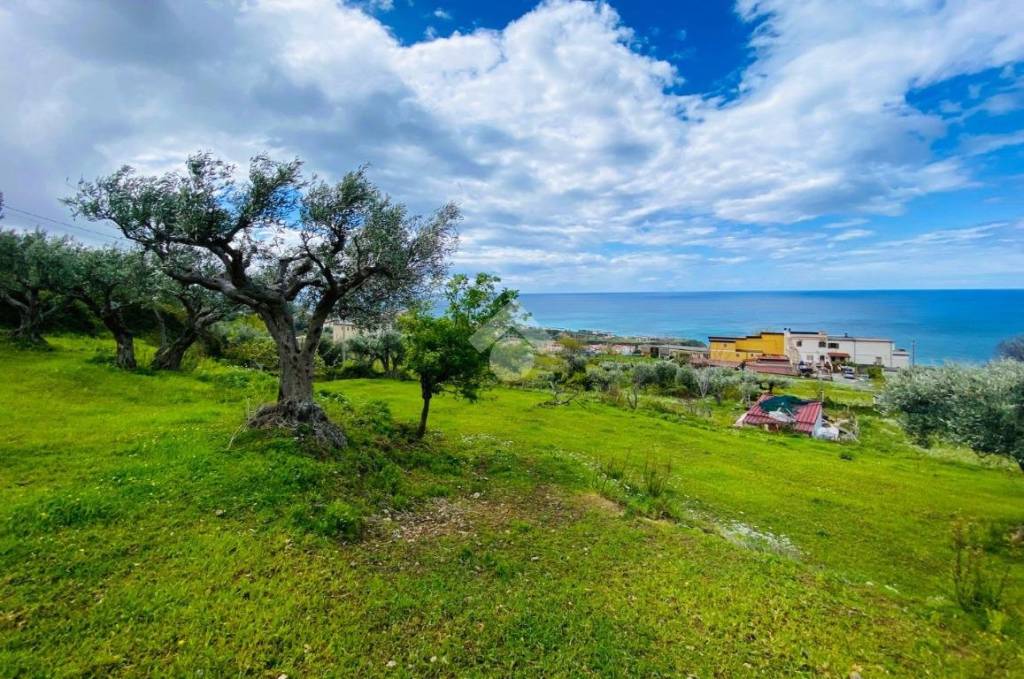 immagine annuncio 7 di 14