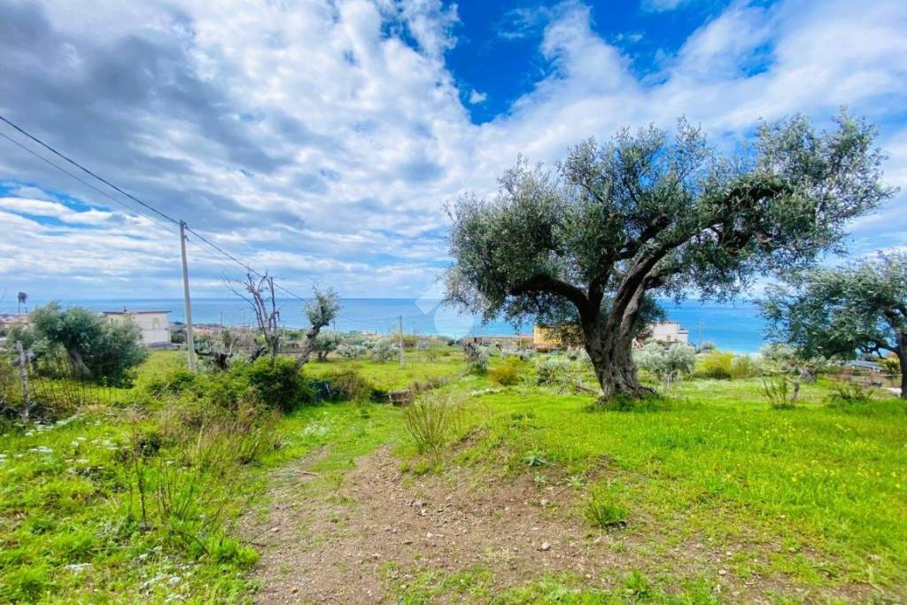 immagine annuncio 10 di 14