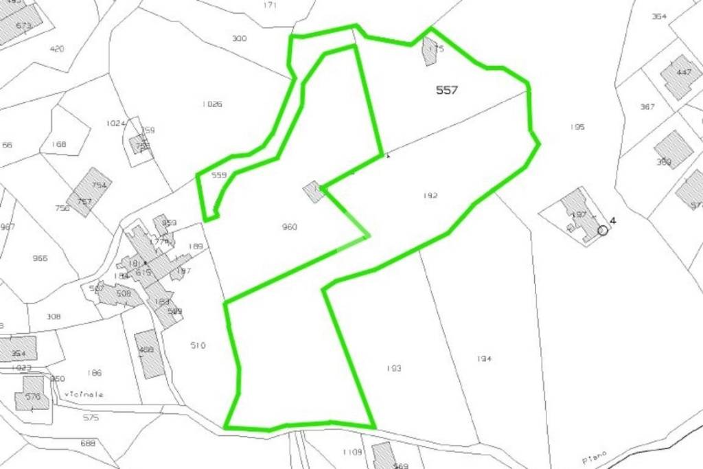 immagine annuncio 12 di 14