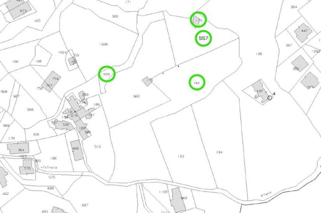 immagine annuncio 13 di 14