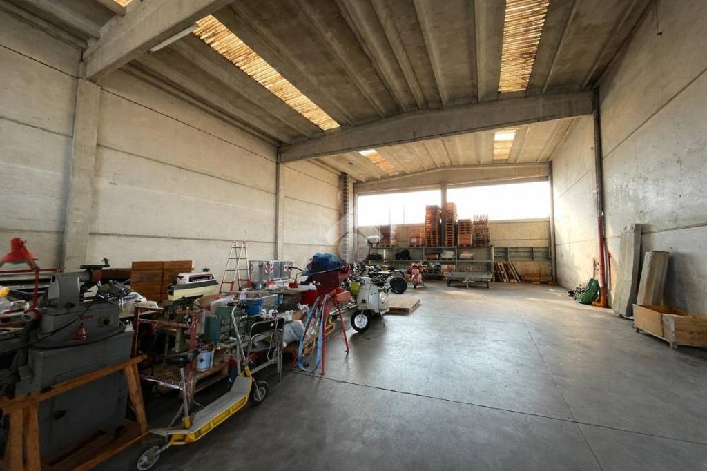 immagine annuncio 1 di 10