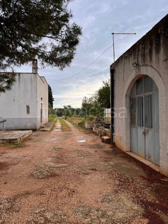 immagine annuncio 5 di 12