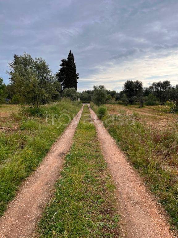 immagine annuncio 11 di 12