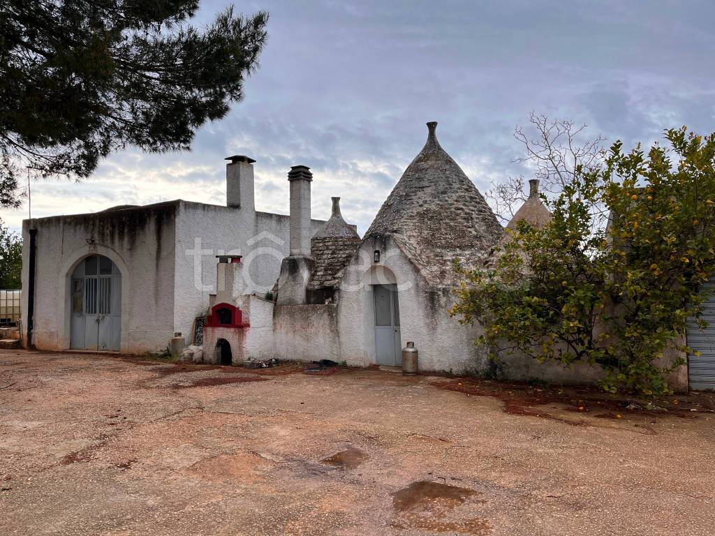 immagine annuncio 3 di 12