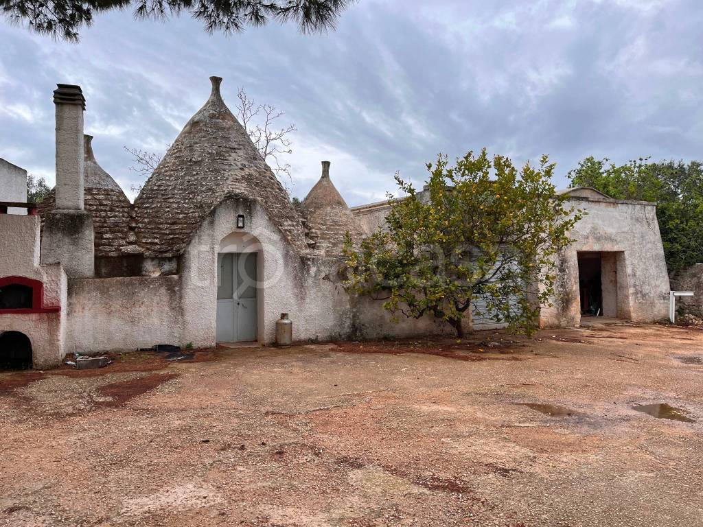 immagine annuncio 4 di 12