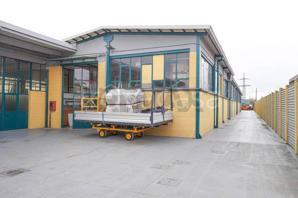 immagine annuncio 5 di 15