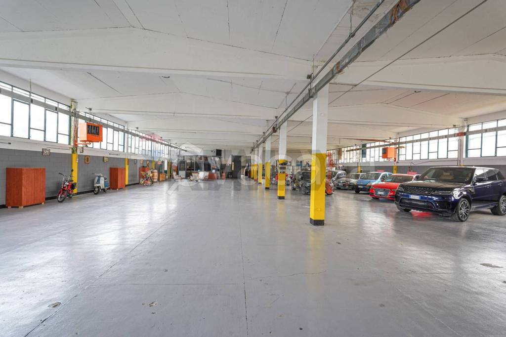 immagine annuncio 12 di 15