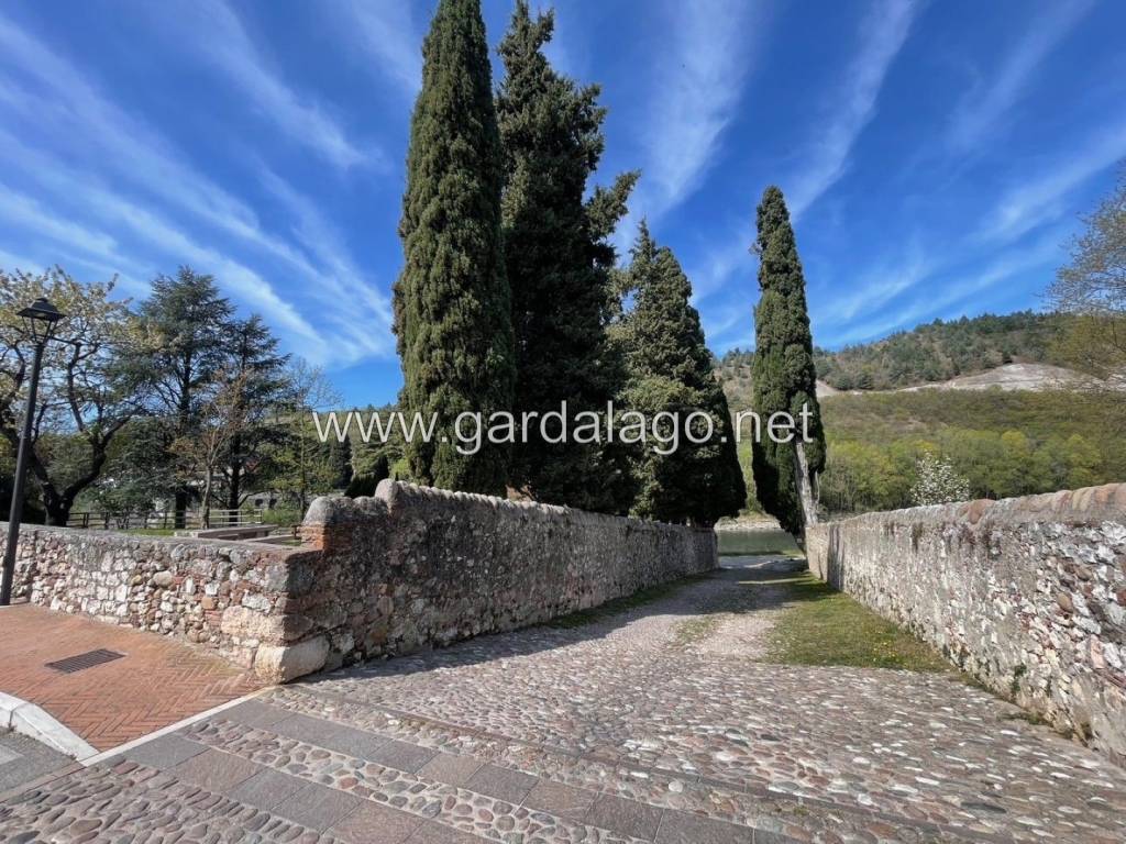 immagine annuncio 10 di 12