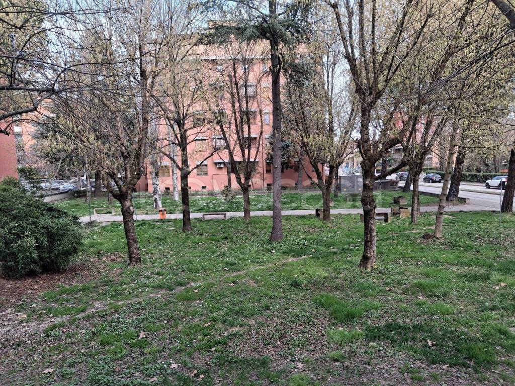 immagine annuncio 2 di 14