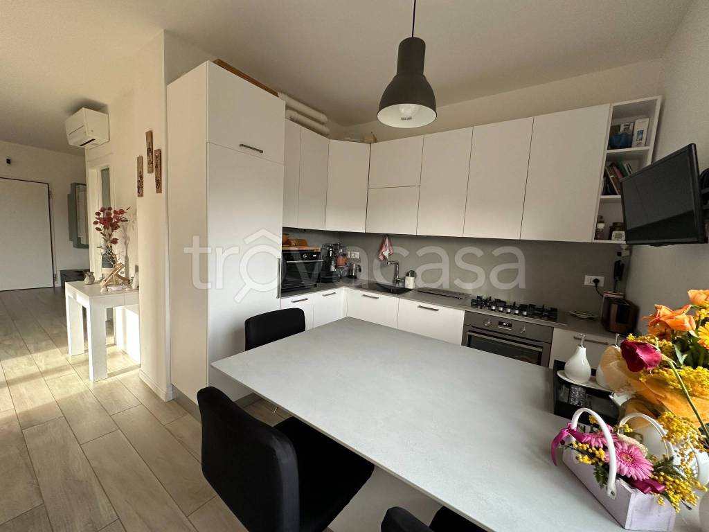 immagine annuncio 5 di 14