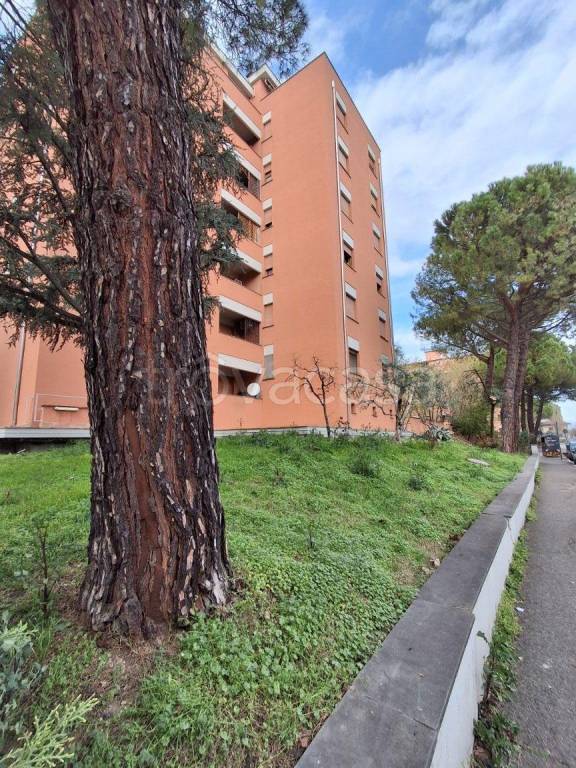 immagine annuncio 1 di 14