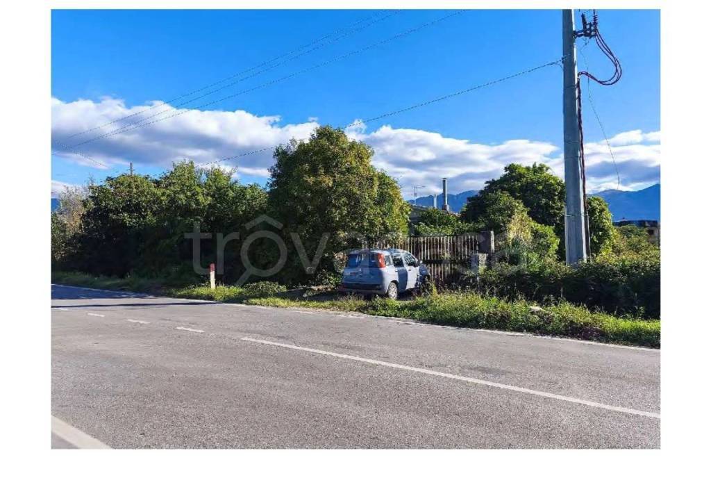 immagine annuncio 8 di 14