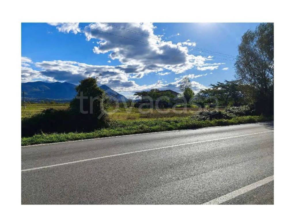 immagine annuncio 10 di 14