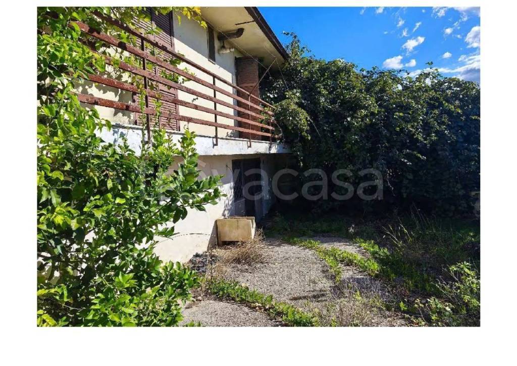 immagine annuncio 12 di 14