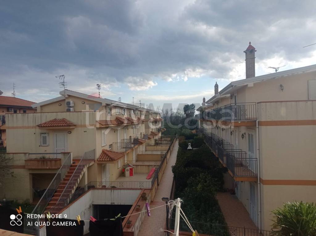 immagine annuncio 5 di 14