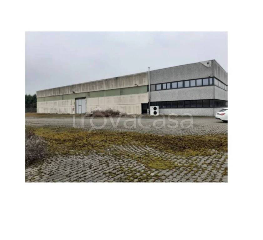 immagine annuncio 1 di 11