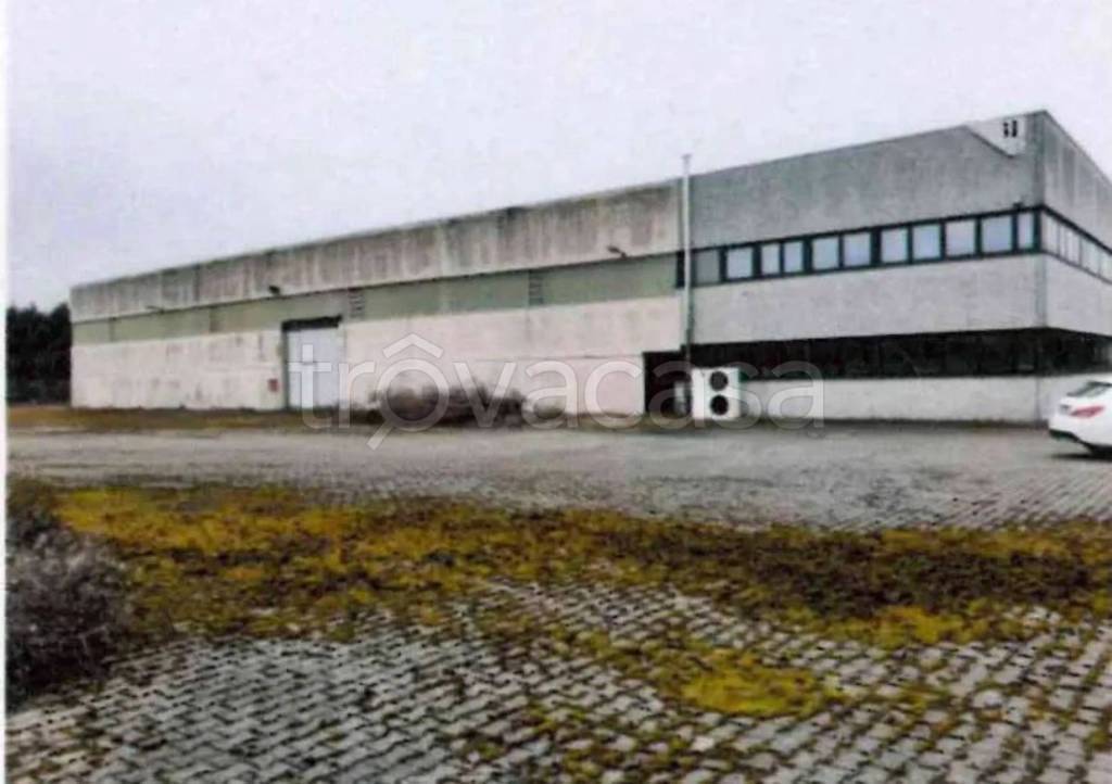 immagine annuncio 2 di 11