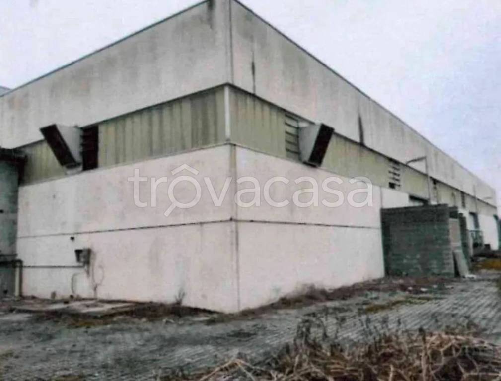 immagine annuncio 4 di 11