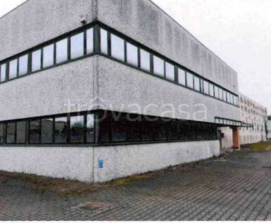 immagine annuncio 5 di 11